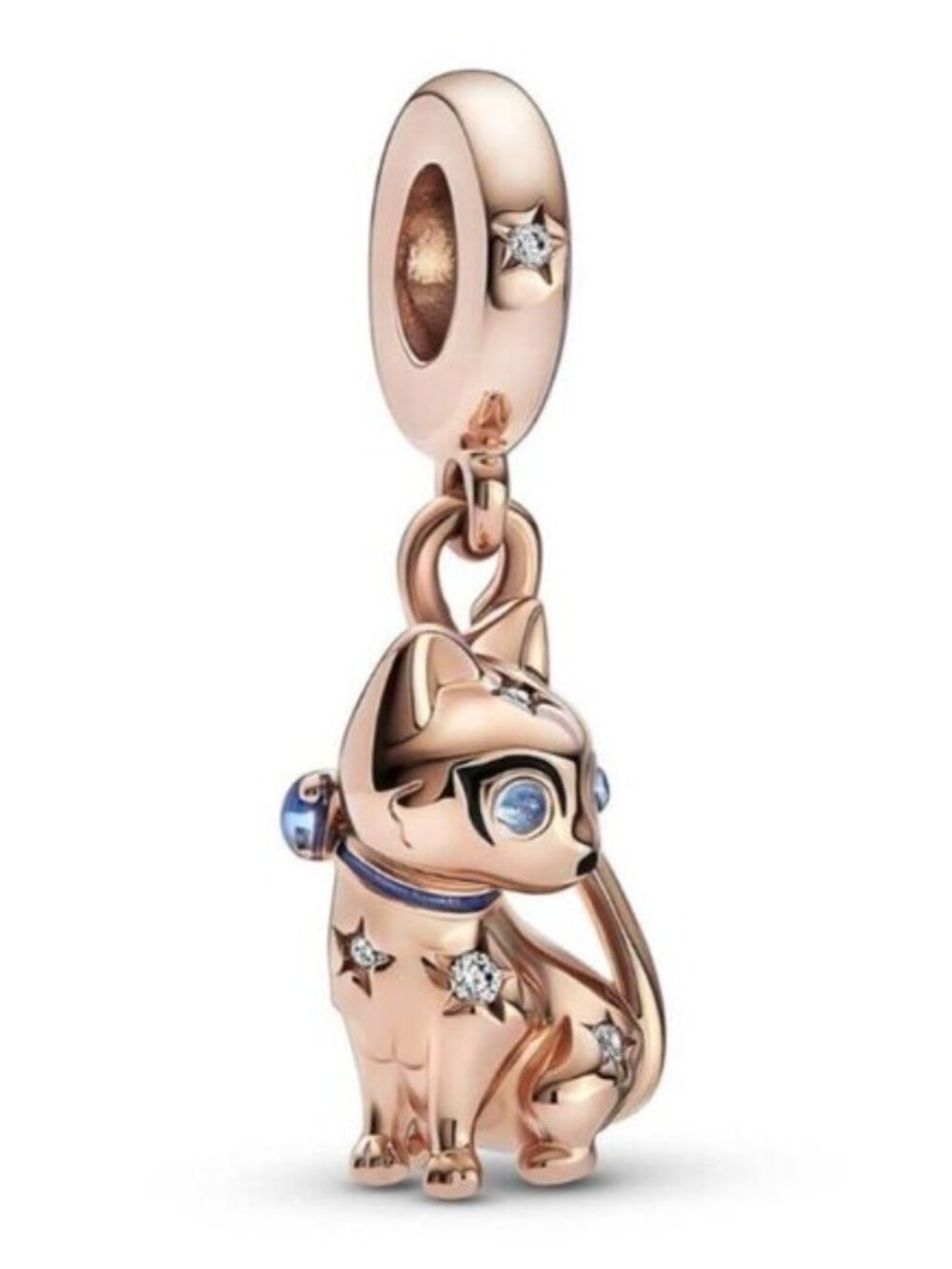 Pandora Charms